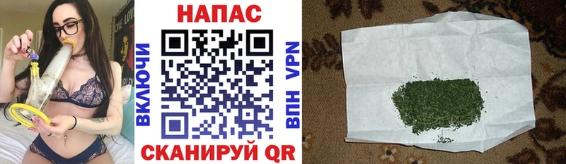 Конопля SATIVA & INDICA  Купить где  Алагир 